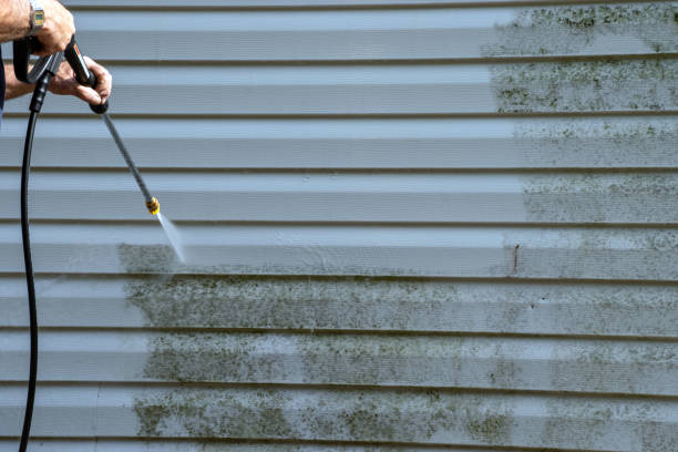 Best Shed Removal  in Livonia, LA
